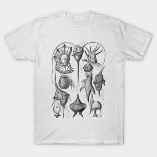 Ernst Haeckel Peridinea Algae Black & White T-Shirt